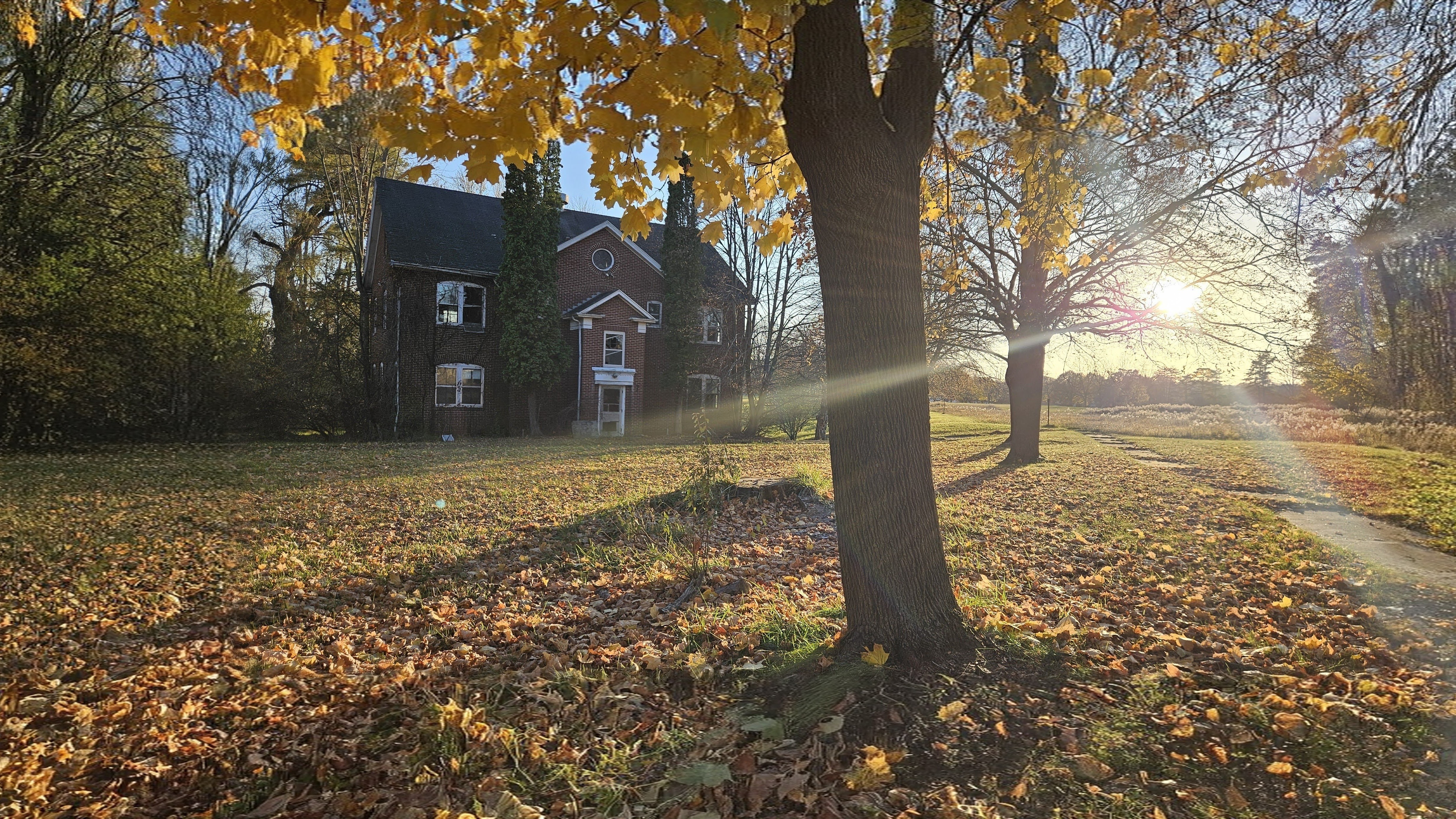 Environmental Banner